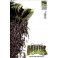 O Incrível Hulk Do 1 A 16 -1ª Série Completa - Panini 2004 a 2005