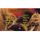 Godzilla vs King Ghidorah ou Godzilla Contra o Monstro do Ma Bluray dublado em português