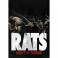 Rats Night Of Terror dvd legendado em portugues