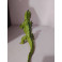  O Rhedosaurus (O Monstro do Mar) Action Figure impressa em 3d feito por encomenda