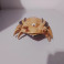 Parasita Alienígena Quinta Dimensão episódio Os Invisíveis   feito por encomenda impressa em 3d