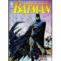 Batman Ed Abril Pack 1 Ao 12 Hqs Formato Americano